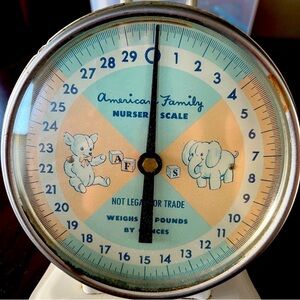 American Family Nursery Scale